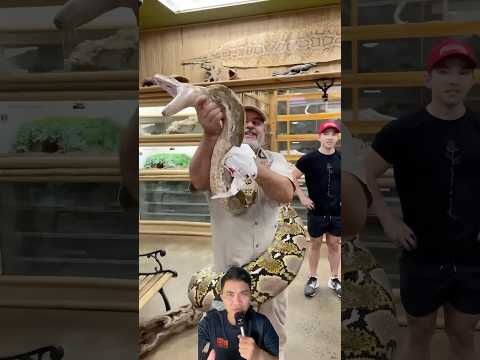 Bị con trăn tấn công vào tay khi đang biểu diễn #snake