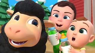 Baa Baa Black Sheep | Farm Song + More Songs For Kids | Newborn Nursery Rhymes