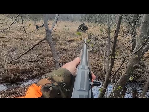 Опасная осечка на медведе. Сахалин 4.