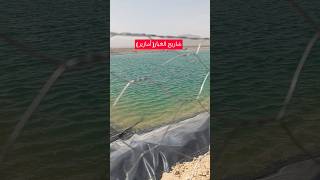 #المغرب #الفلاحة_المغربية #الزراعة #الجزائر  #اسبانيا
