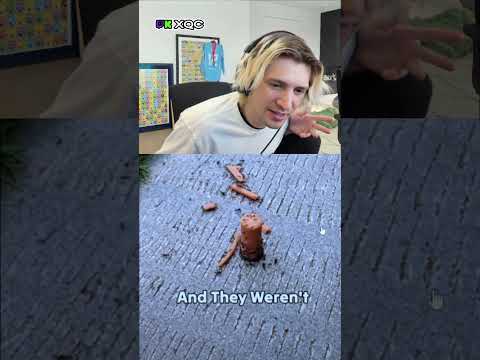Scout ant got promoted