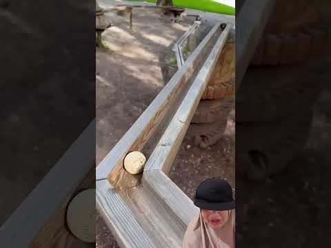 MASUKIN BOLA #funny #memes #ollieshaul #comedy #duet #challenge #satisfying #automobile #humor