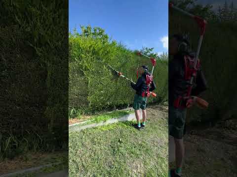 ⚔️ Hedge robot 🤖 #shortvideo #short #garden #landscape #satisfying #gardening #gtmpro #ET3