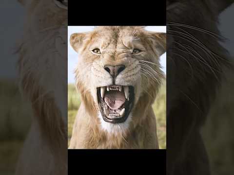 🦁 Mufasa: The Lion King (2024) – The Battle for Courage and Survival 🦁💥| "Facing the White Lions"