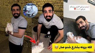 لكيت بزونه بشارع شوفوا شنو صار الها🥹