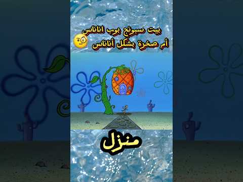 هل بيت سبونج بوب اناناس 🧐