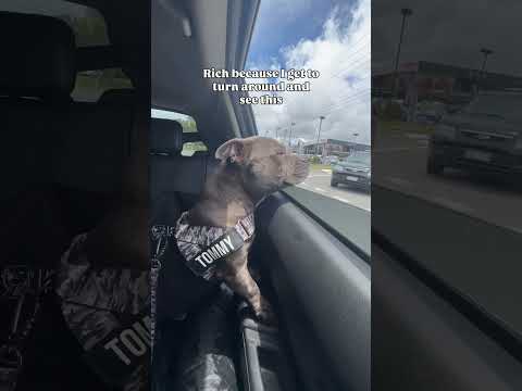 We could be travelling through the most beautiful landscapes but I’d rather stare at this