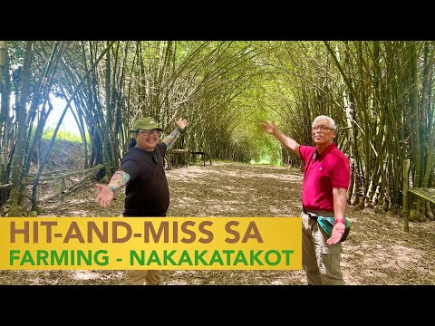 Hit-And-Miss sa Farming - Nakakatakot!