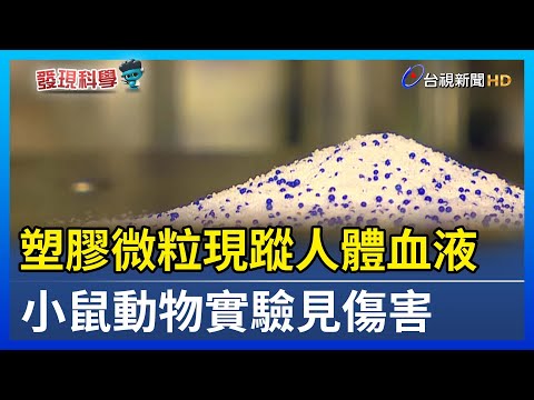 塑膠微粒現蹤人體血液 小鼠動物實驗見傷害【發現科學】 - YouTube