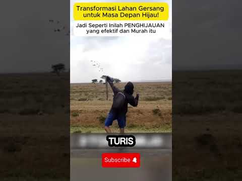 Transformasi Lahan Gersang untuk Masa Depan Hijau! Inilah PENGHIJAUAN yang efektif dan Murah itu