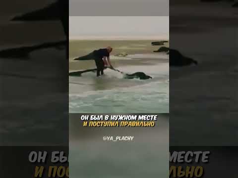 Респект Мужчине За Поступок! 🙏🏻❤️