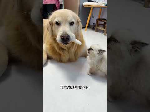 Two hearts, one home