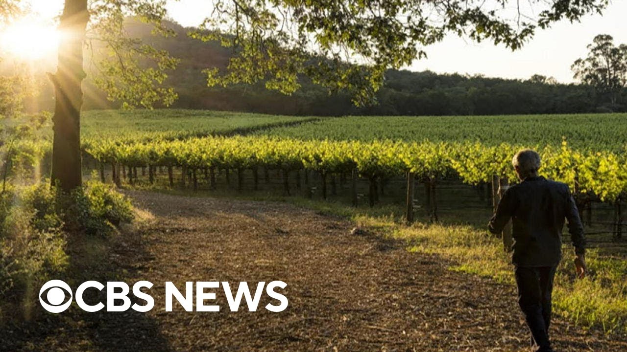 Climate Change Impacting the U.S. and Global Wine Industries