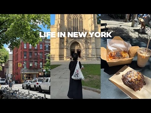 vlog | 인턴님 돈 잘 쓰시는 모습이 예쁘시군요, 데이식스 콘서트, 프린스턴 대학교 피크닉, 퇴근 후 동료들과 놀기, 뉴욕 일상 브이로그