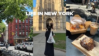 vlog | 인턴님 돈 잘 쓰시는 모습이 예쁘시군요, 데이식스 콘서트, 프린스턴 대학교 피크닉, 퇴근 후 동료들과 놀기, 뉴욕 일상 브이로그