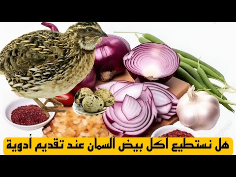 هل نستطيع أكل بيض طائر السمان عند تقديم أدوية.