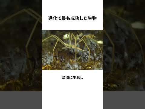 進化で最も成功した生物