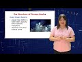 Ocean Basin Characteristics and Evolution