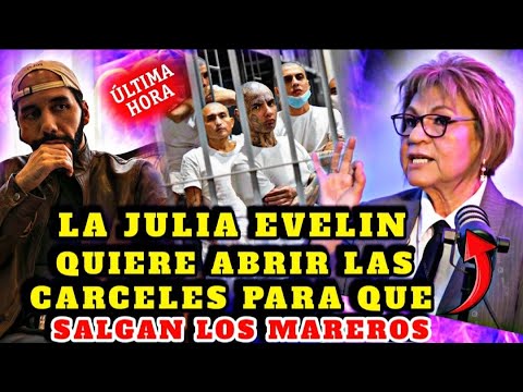 BOMBAZO NAYIB BUKELE NO PUEDE CREER JULIA EVELIN QUIERE ABRIR LAS CARCELES PARA LIBERAR LOS MAREROS