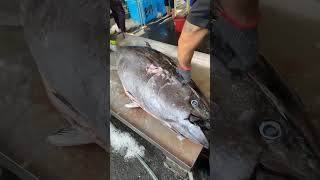 Giant bluefin tuna cutting show