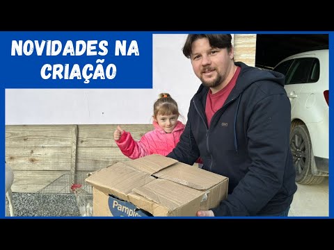 Compramos mais um lote de aves | Coração Campeiro