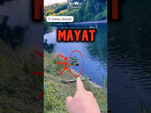 WNI Di Jepang Nemuin M4Y4T Di Sungai Pas Lagi Mancing #shorts