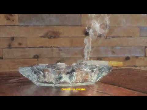 3- Lloraba Un Mar - Anthony Ducapo & Erik Condor (VISUALIZER)