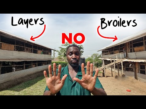 DO NOT Keep Both Layers and Broilers