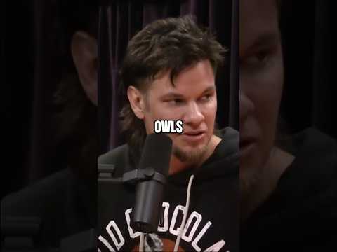 Theo Von Admits Something Insane