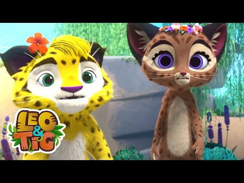 Mau presságio | Leo & Tig | Desenhos infantil 🐯🦁