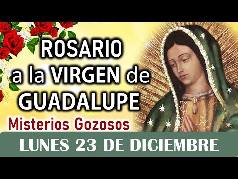 Santo Rosario Corto a la Virgen de Guadalupe, Lunes 23 de Diciembre 2024🌿🌻🌿 Misterios Gozosos🌿🌻🌿