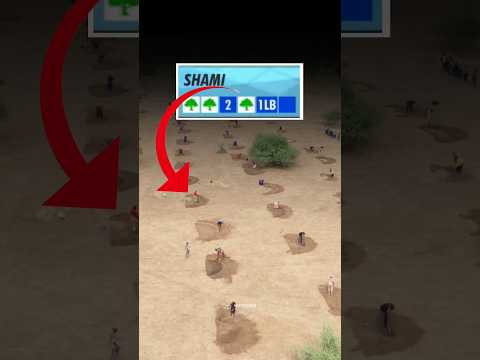 BCCI Planting Trees For IPL Dot Balls !