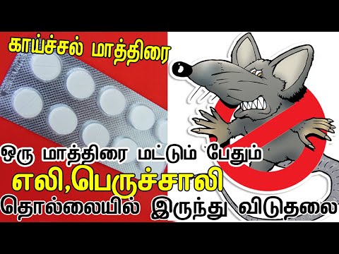 ஒரு ரூபாய் மட்டும் செலவு செய்யுங்கள் எலி தொல்லையில் இருந்து விடுதலை| Get rid of rats from Home