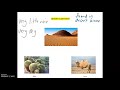 Ecosystem Characteristics and Adaptations
