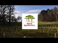 Agroforestry Benefits and Impacts