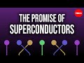 Understanding Topological Properties and Their Impact