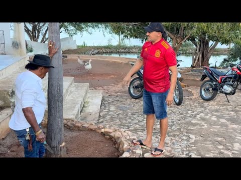 CHARLLES QUER SABER EM QUANTO TEMPO TIRINGA DERRUBA UM PAU 😂 | COMÉDIA SELVAGEM
