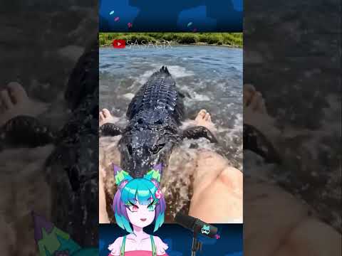 🐊 POV COCODRILO 🐊 (Roblox Memes) #sasagix