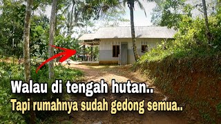 RUMAH RUMAH GEDONG DI TENGAH HUTAN. KEHIDUPAN DI DESA SEPI PEGUNUNGAN KEBUMEN.