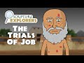 Lessons from the Story of Job