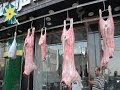 بالفيديو : الجزارين لخفض اسعار اللحوم يجب تخفيض اسعار الاعلاف