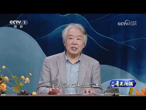 [中国书法大会第二季]“石门十三品”中最著名的是《石门颂》 | CCTV