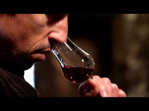 YouTube video thumbnail: Cognac Sales Drop 13% as Demand for Premium Ranges Slides