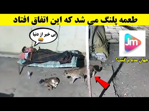 صحنه های عجیبی ضبط شده از حیوانات 😱 (قسمت - 17) | بازگشت جهان مدیا!