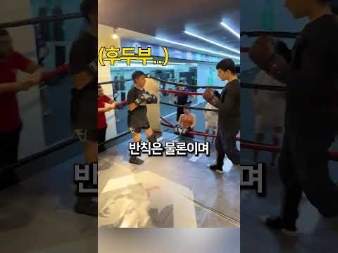체육관 스파링 세게충의 최후