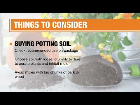 Do Plants Grow Better in Potting Soil, Clay or Sand?