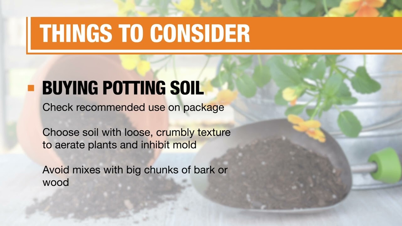 Best Potting Soil for Your Plants