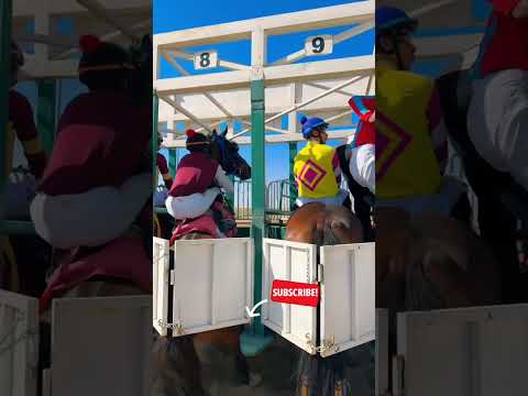 Salida de carrera de caballos!! #caballos #horse