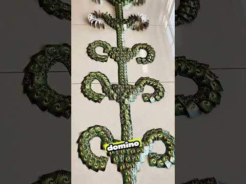 Sadece Kartlarla Dev Bir Domino Zinciri Yaptım! 😍