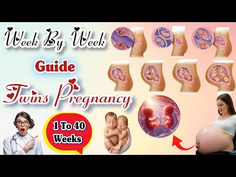 Twins Pregnancy Week by Week | #twins #pregnancy